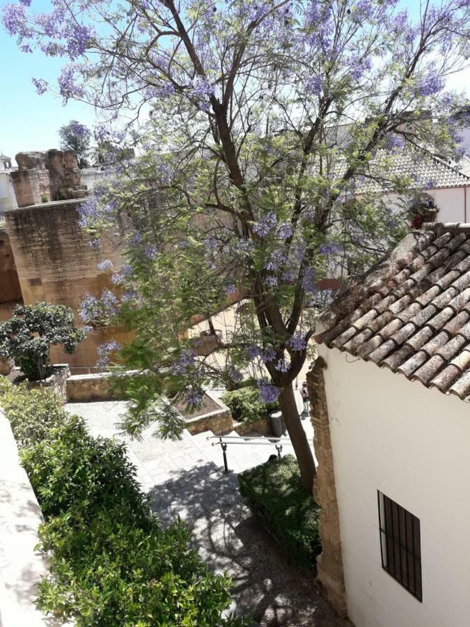 Apartamento Los Tejares del Alcazar Córdoba Exterior foto